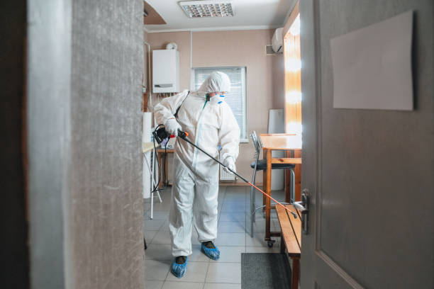 Best Environmental Consulting for Mold Prevention  in USA